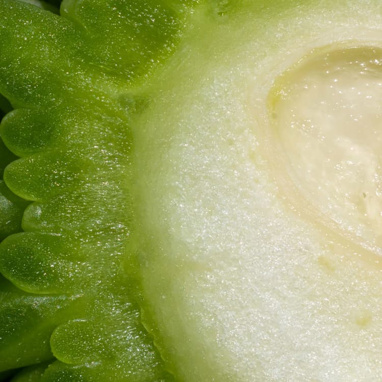 ORGANIC COCO VEGETABLE OIL and COSMOS