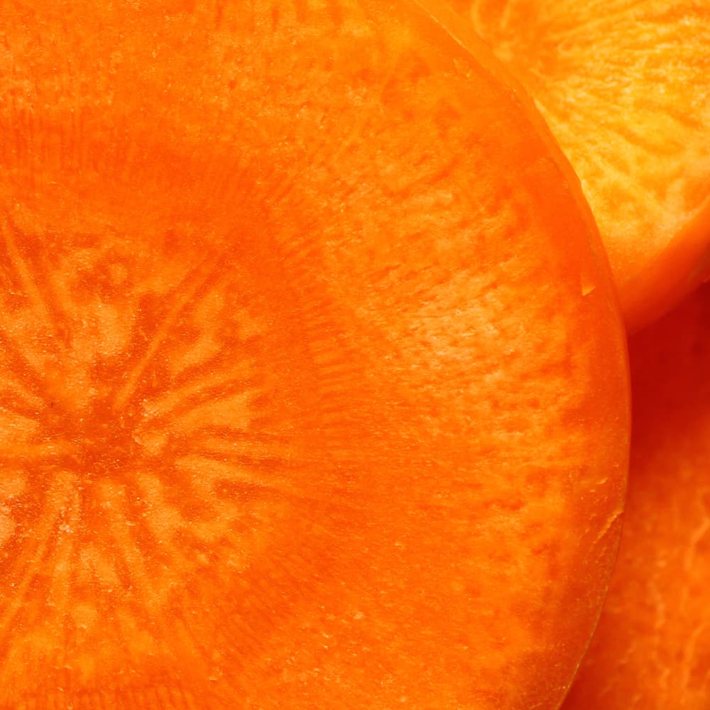 Various extraction methods