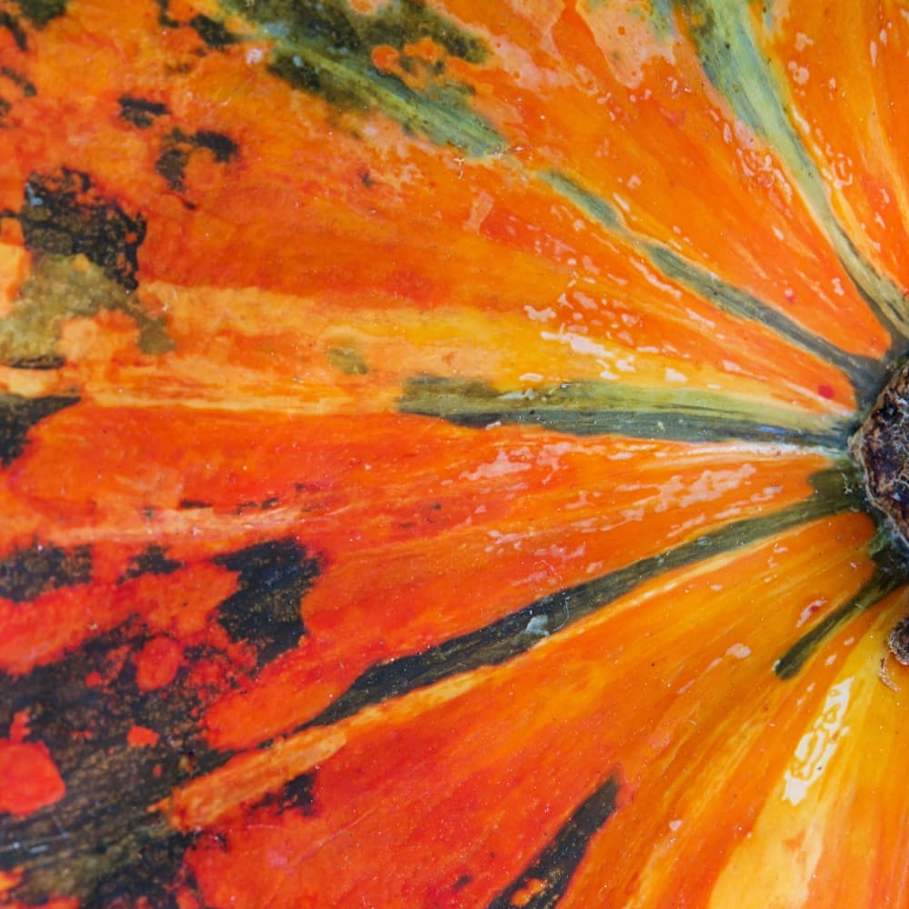 30 Edible Vegetable Oils!