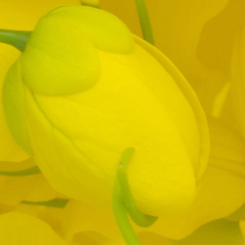 Various bio-cosmetics