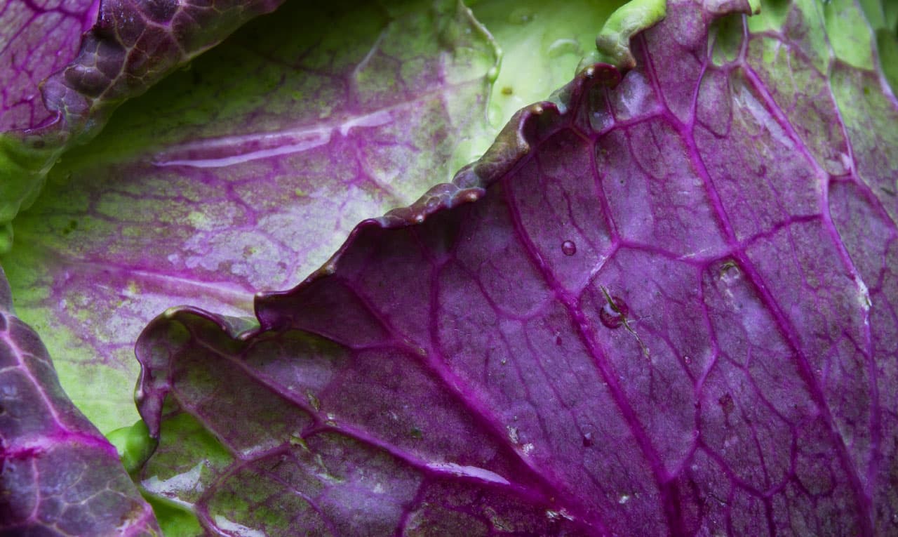 Our Organic Edible Glycerin is based on organic Karanja oil.